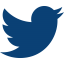 Social Media Icon Twitter